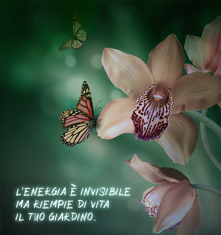 Hera eventi