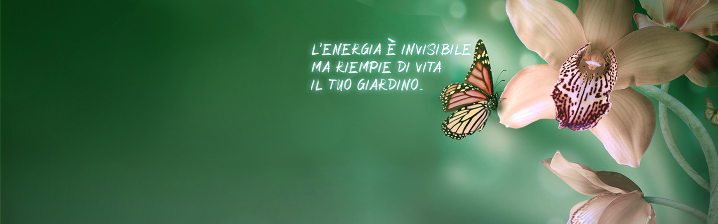 Hera eventi
