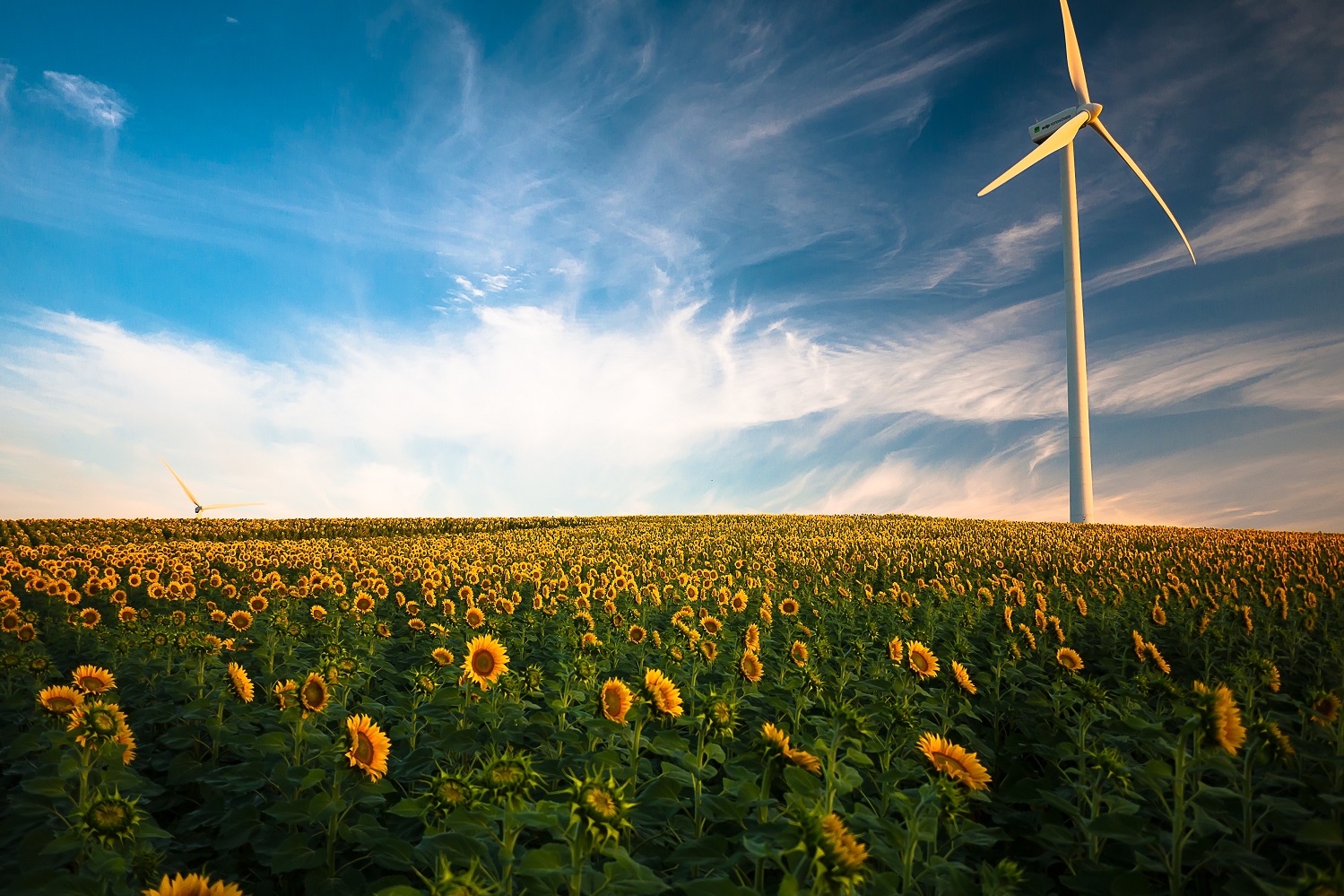 Pale eoliche, strumenti sempre più frequenti e utilizzati per la produzione di energia verde.