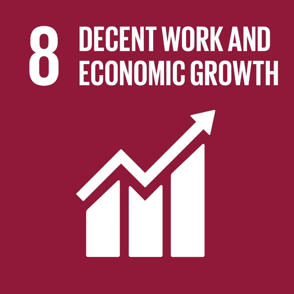 sdg 8 icona