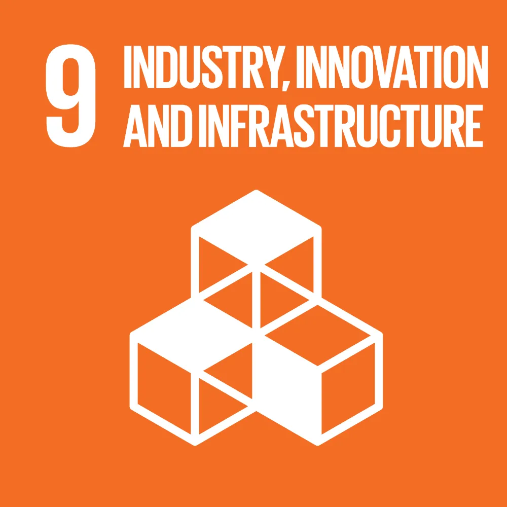 sdg 9 icona