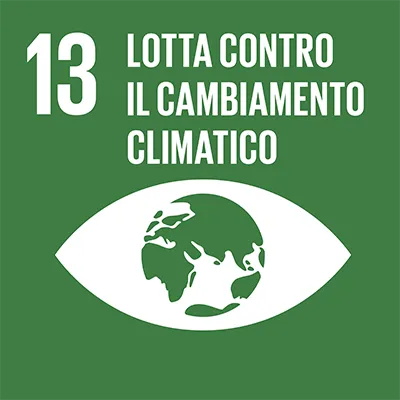 sdg 13 icona