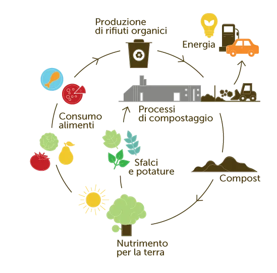 mappa concettuale Circle Compost
