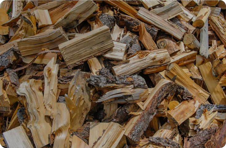 Energia Biomasse: cosa sono e quali vantaggi offrono